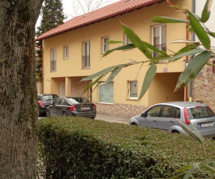 Ferienwohnung Belvarosi Allodium Tetoterasszal Szentendre Exterior foto